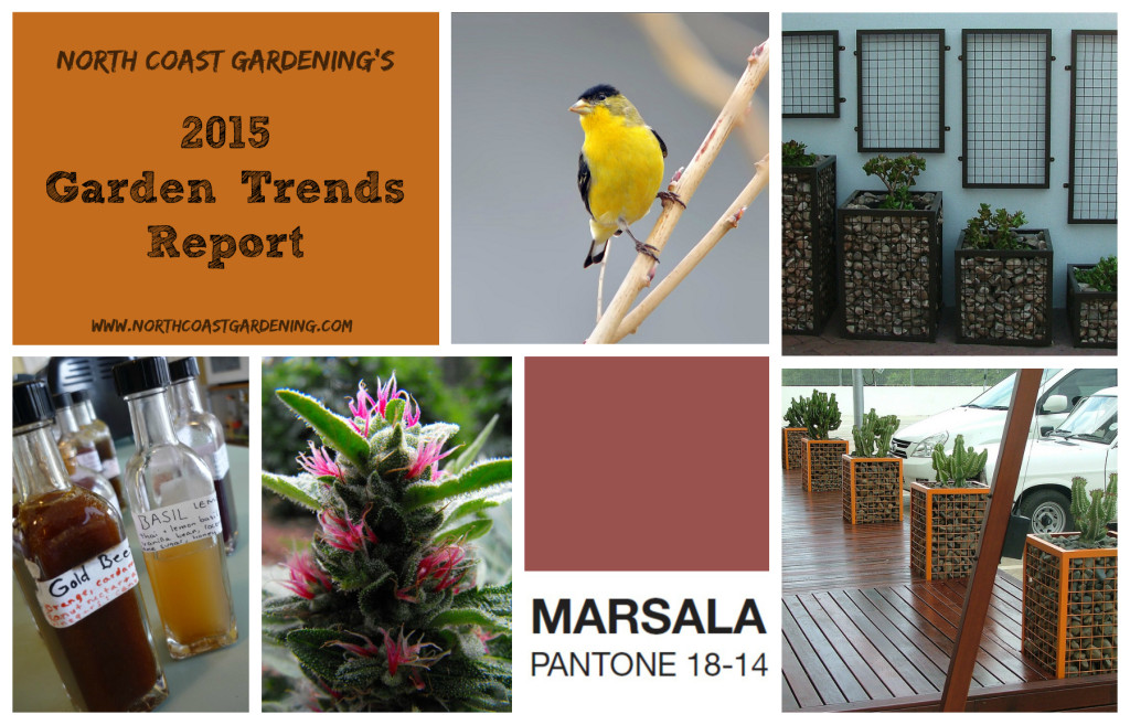 2015 Gardening trend report from www.northcoastgardening.com