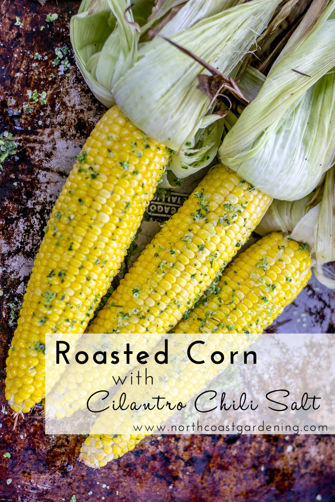 Garden fresh flavors: Roasted Corn with Cilantro Chili Salt - perfect for a summer barbecue! www.NorthCoastGardening.com