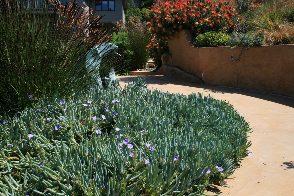 Blue chalksticks evoking water