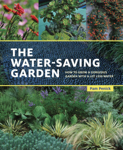 The Water Saving Garden